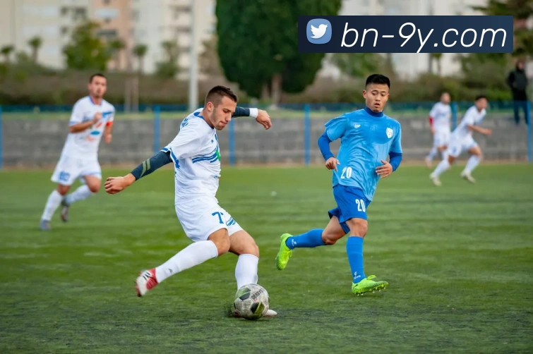 App Interface Preview