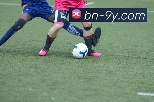 九游官网APP 封面图